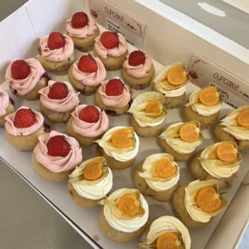 Mini-Cupcake DIY 12 Stk
